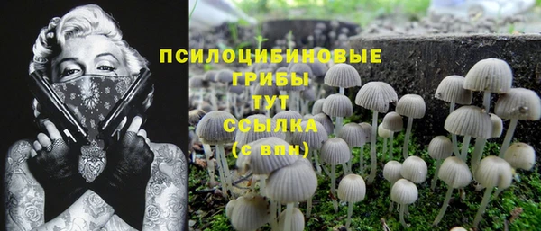 спиды Армянск